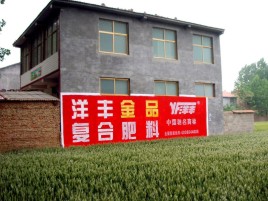 宣威如何让墙体广告展现最大化效果